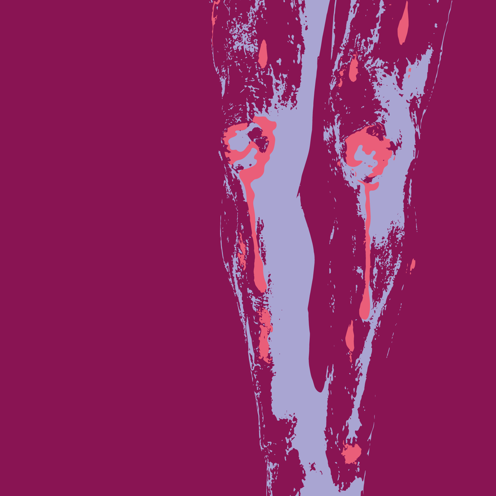 SS2026_Actividades-botonminisitio