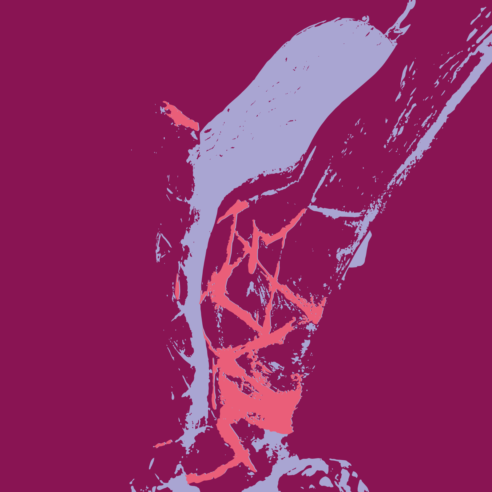 SS2026_Descargalibro-botonminisitio (1)