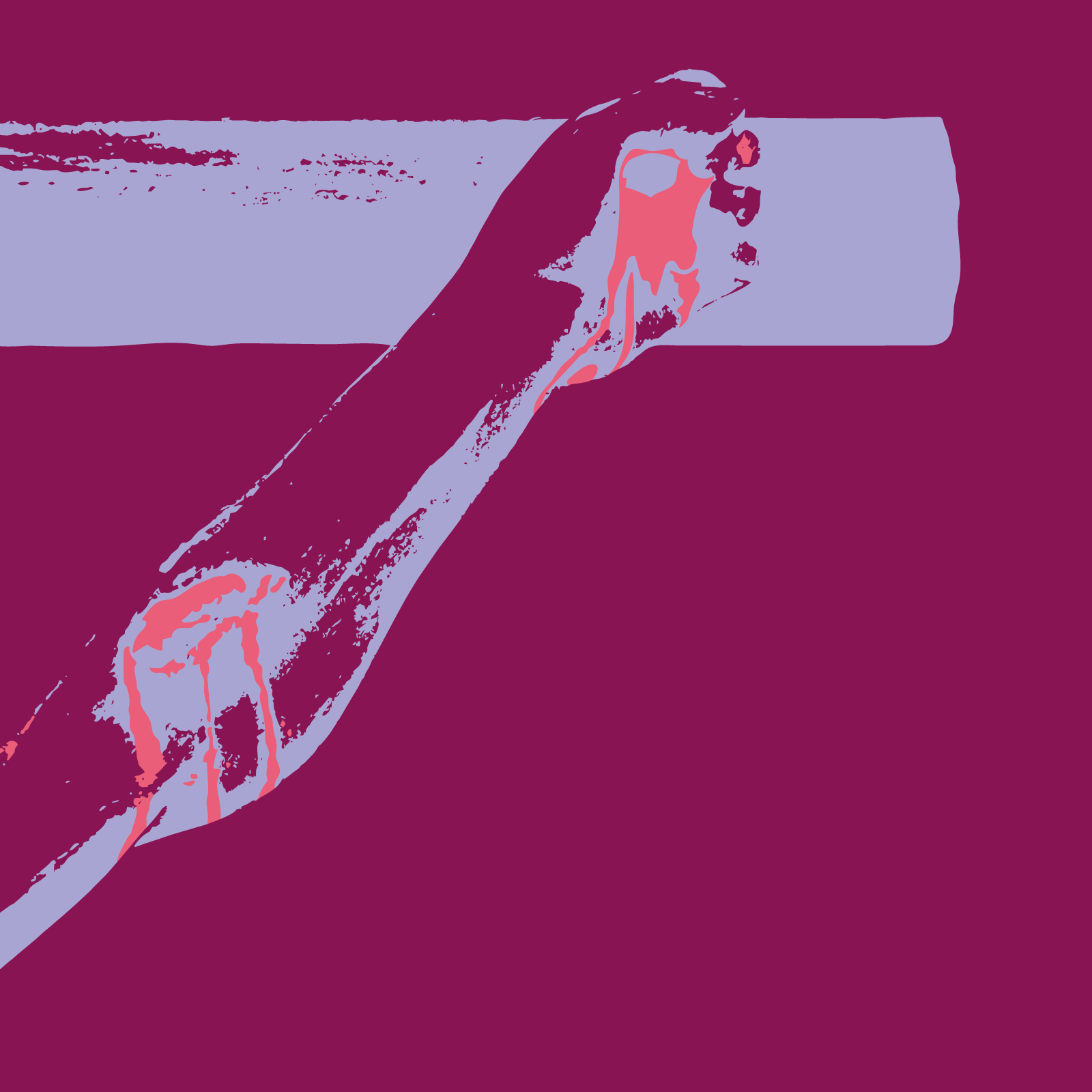 SS2026_Minisitio-botonActVilla